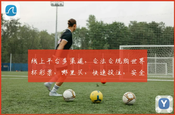 线上平台多渠道，合法合规购世界杯彩票，哪里买，快速投注，安全可靠，快来体验