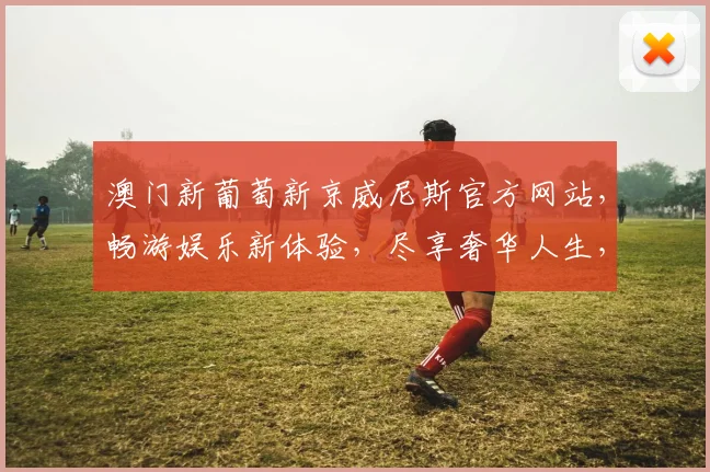 澳门新葡萄新京威尼斯官方网站，畅游娱乐新体验，尽享奢华人生，惊喜不断