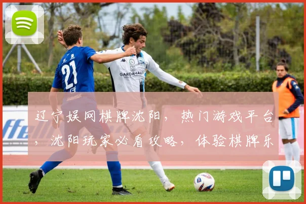 辽宁娱网棋牌沈阳，热门游戏平台，沈阳玩家必看攻略，体验棋牌乐趣