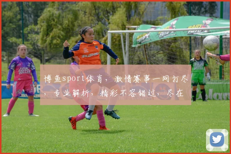 博鱼sport体育，激情赛事一网打尽，专业解析，精彩不容错过，尽在博鱼